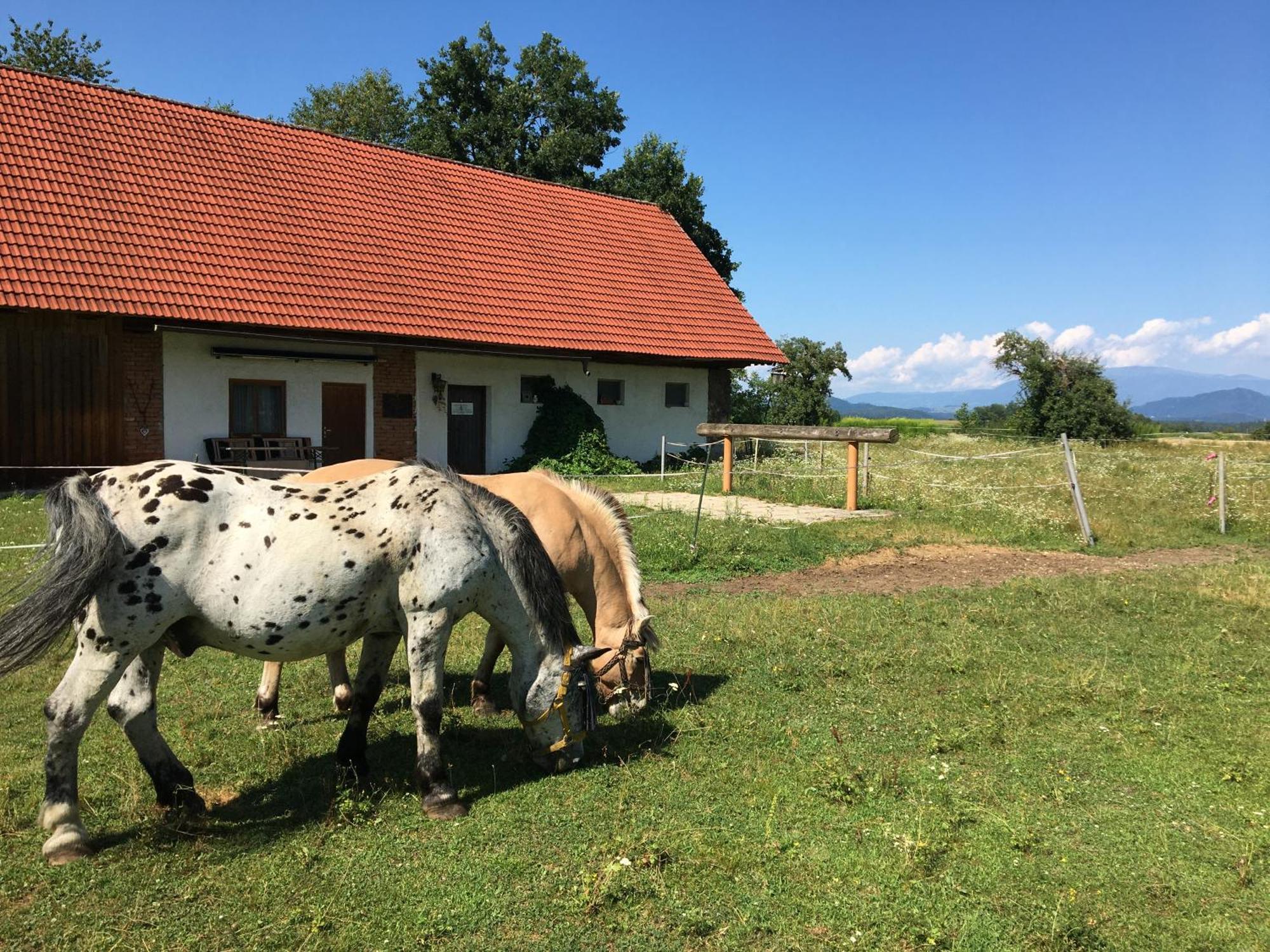 Skorianzhof Hotel Eberndorf Buitenkant foto